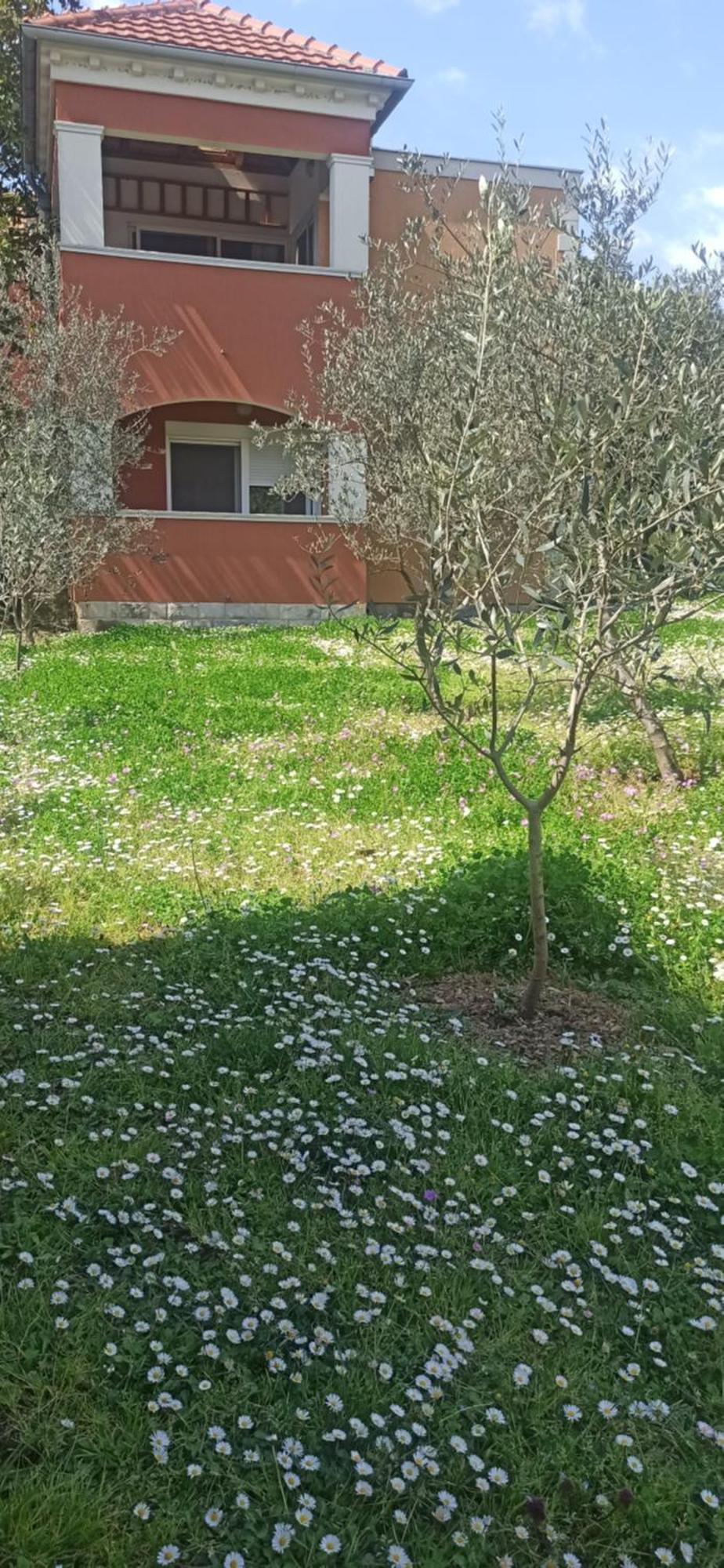 Apartments Rolovina Tivat Habitación foto
